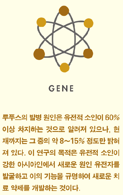 [2016년 한양대학교의료원의 연구성과] ① 루푸스 원인 유전자 발굴로 새로운 치료 가능성 열다