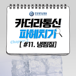 냉찜질을 하면 혈류가 감소한다?