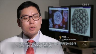 [특집다큐멘터리] 면역력의 열쇠, 인삼