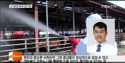 [뉴스]“소를 생각하면 잠이 안와요”…살처분 트라우마 심각