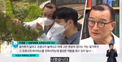 더 많아진 꽃가루, 더 짙어진 오존…건강 위협하는 기후